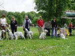 ВЫСТАВКИ - Московская межрегиональная выставка 113